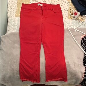 CAbi Red Flare Women's Jeans